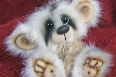 miniraccoon3